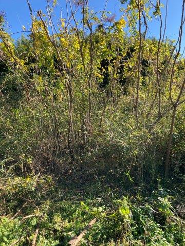 f:id:yukimaro03:20211117235721j:plain