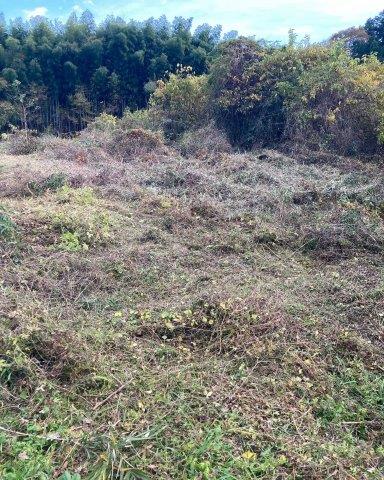 f:id:yukimaro03:20211118002448j:plain