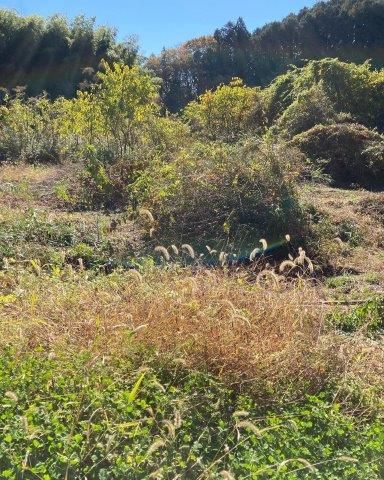 f:id:yukimaro03:20211118002451j:plain