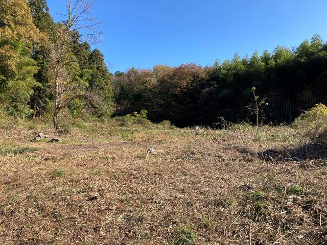 f:id:yukimaro03:20211118002454j:plain