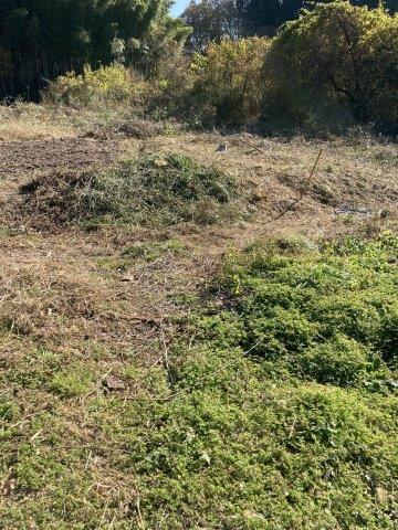 f:id:yukimaro03:20211118002458j:plain