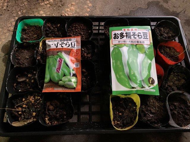 f:id:yukimaro03:20211218202647j:plain