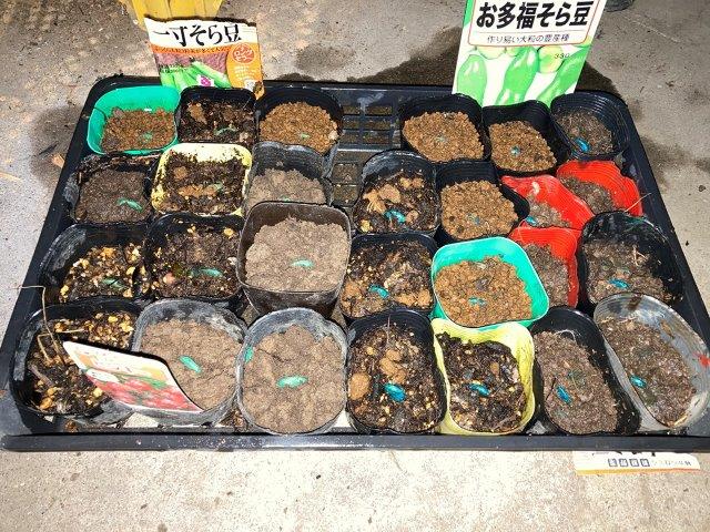 f:id:yukimaro03:20211218202651j:plain