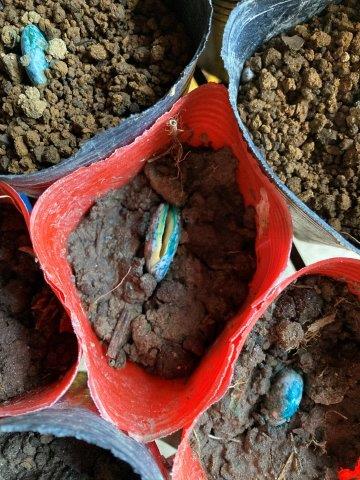 f:id:yukimaro03:20211218202849j:plain