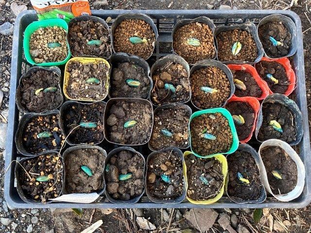 f:id:yukimaro03:20211218203010j:plain