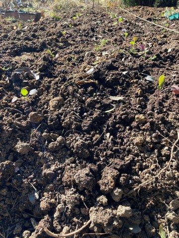 f:id:yukimaro03:20211218203527j:plain