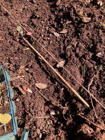 f:id:yukimaro03:20211218203531j:plain