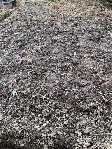 f:id:yukimaro03:20211218203534j:plain