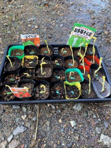 f:id:yukimaro03:20211218203548j:plain