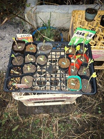 f:id:yukimaro03:20211218203551j:plain