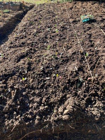 f:id:yukimaro03:20211218203554j:plain