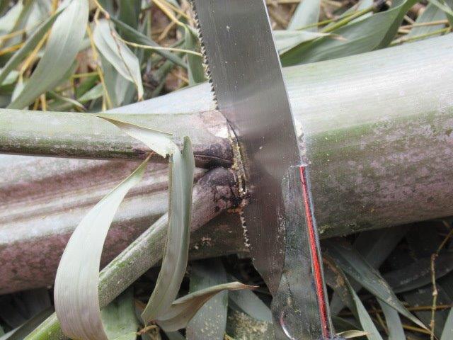 f:id:yukimaro03:20220115202323j:plain