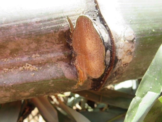 f:id:yukimaro03:20220115202326j:plain