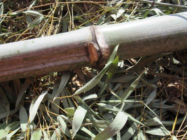 f:id:yukimaro03:20220115202330j:plain