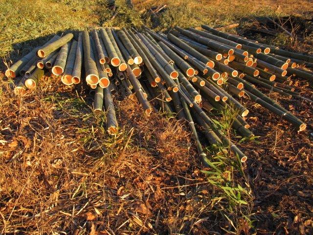 f:id:yukimaro03:20220115202334j:plain