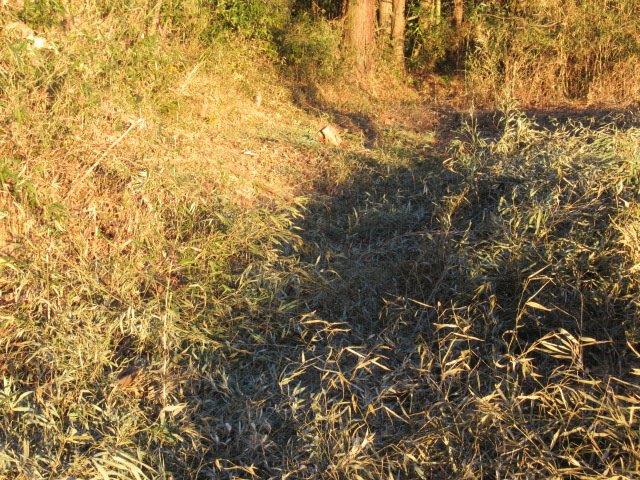 f:id:yukimaro03:20220115202338j:plain