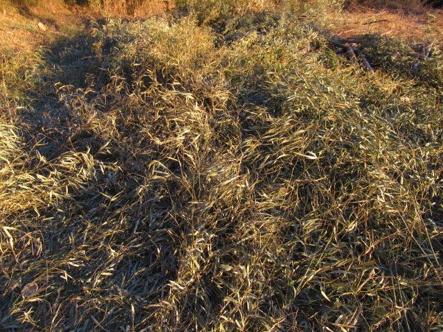 f:id:yukimaro03:20220115202342j:plain