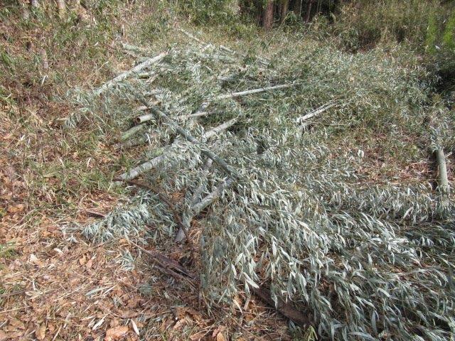 f:id:yukimaro03:20220115202358j:plain