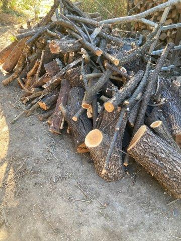 藤のツルが絡まった木を伐採 - ゆきまろ@山乃下農園