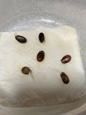 f:id:yukimaro03:20220202211153j:plain