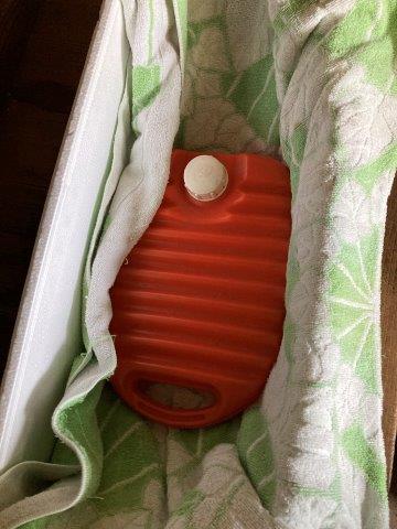 f:id:yukimaro03:20220202211156j:plain