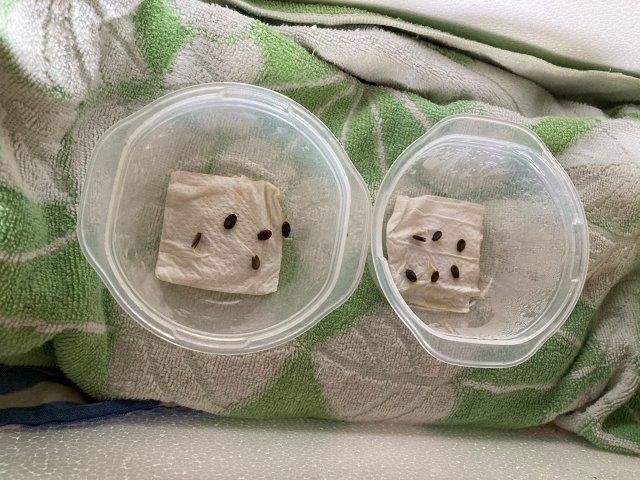 f:id:yukimaro03:20220202211200j:plain