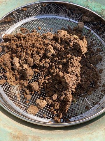 f:id:yukimaro03:20220202211211j:plain