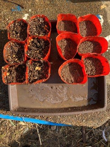 f:id:yukimaro03:20220202211220j:plain