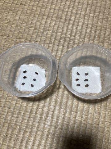 f:id:yukimaro03:20220202211223j:plain