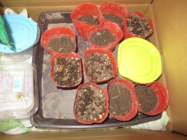 f:id:yukimaro03:20220202211250j:plain