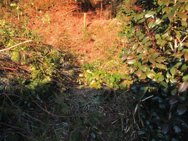 f:id:yukimaro03:20220205224726j:plain