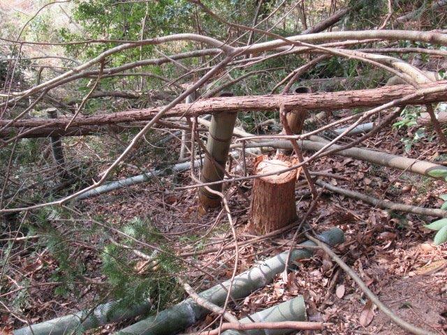 f:id:yukimaro03:20220205224739j:plain