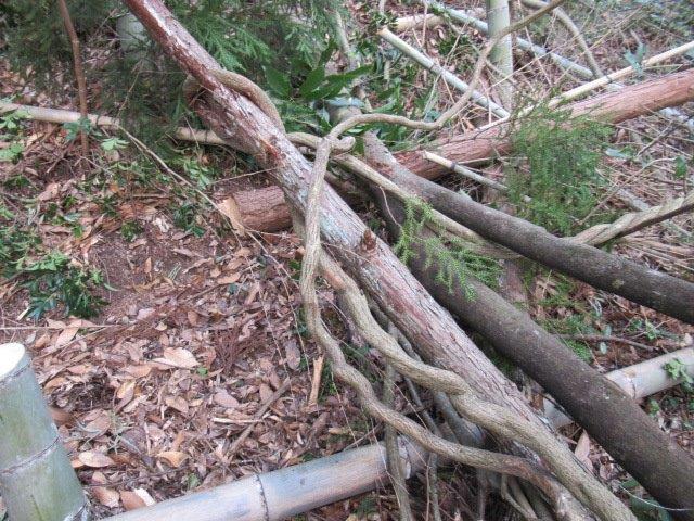 f:id:yukimaro03:20220205224816j:plain