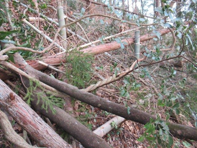 f:id:yukimaro03:20220205224820j:plain