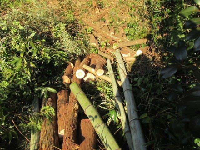 f:id:yukimaro03:20220205231519j:plain