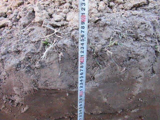 f:id:yukimaro03:20220319221145j:plain