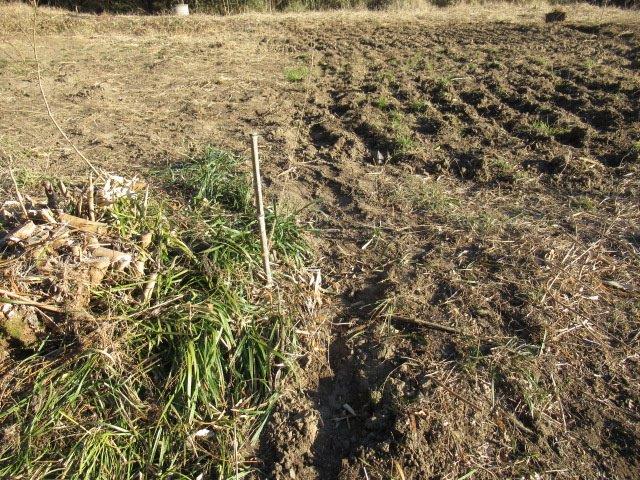 f:id:yukimaro03:20220319221148j:plain