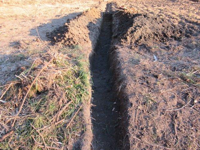 f:id:yukimaro03:20220319221203j:plain