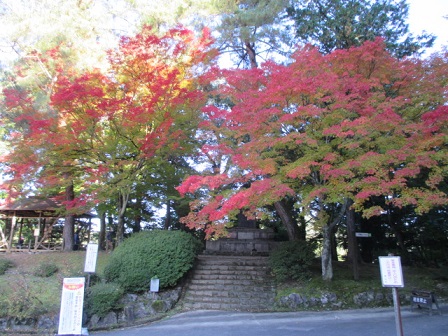 f:id:yukimaru192:20201215165524j:plain