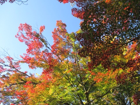 f:id:yukimaru192:20201215165600j:plain