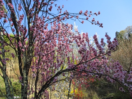 f:id:yukimaru192:20210604121500j:plain