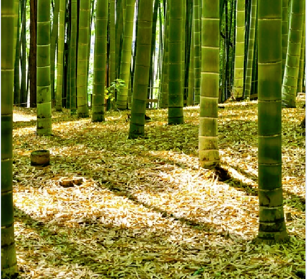 f:id:yukimatu-tousi:20171031141640p:plain