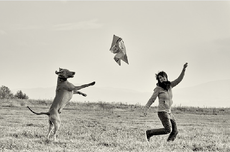 f:id:yukimatu-tousi:20171226150410p:plain