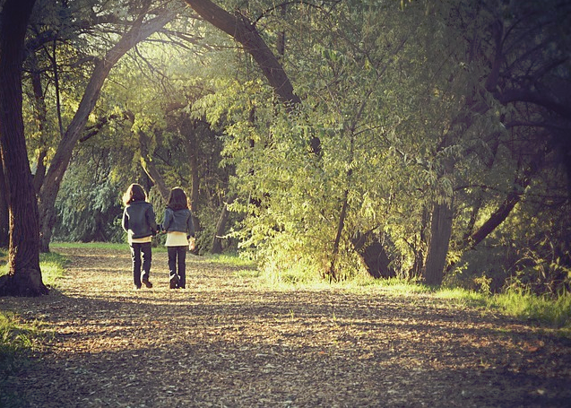 f:id:yukimatu-tousi:20180924223153p:plain