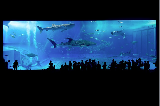 f:id:yukimatu-tousi:20190816175546p:plain f:id:yukimatu-tousi:20190816175546p:plain