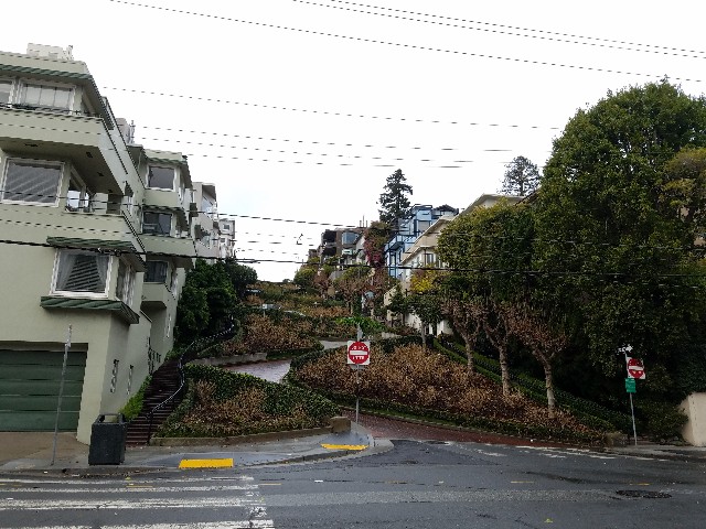 f:id:yukimeg:20190106183110j:image f:id:yukimeg:20190106183110j:image