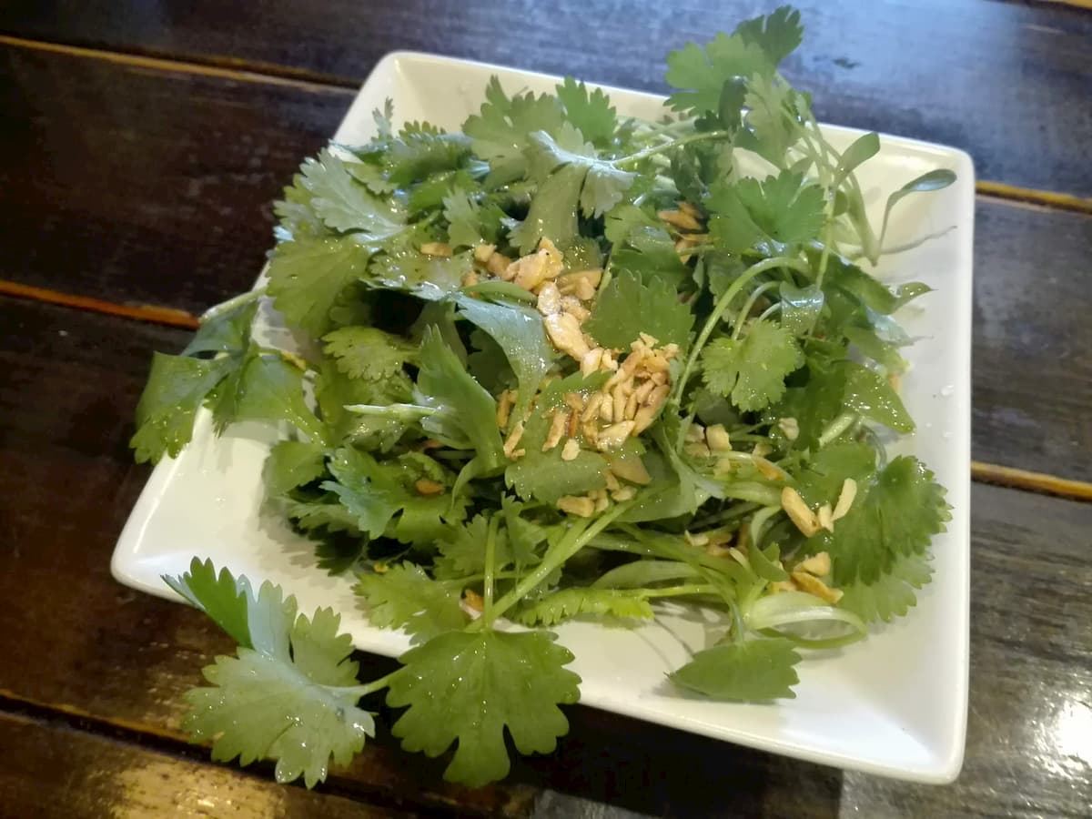 coriander-salad