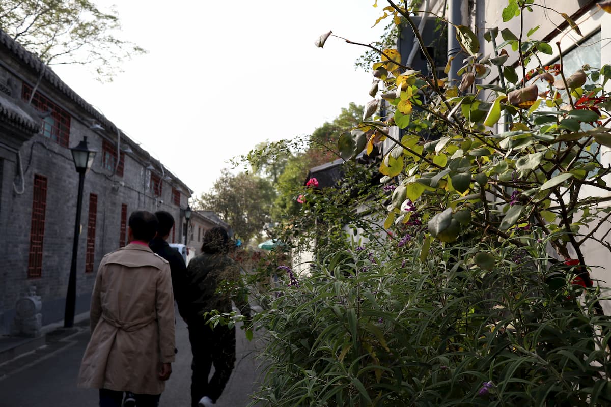 yuer-hutong