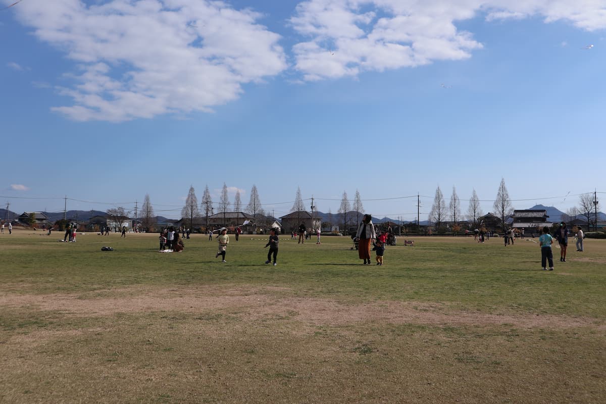 playing-in-the-park