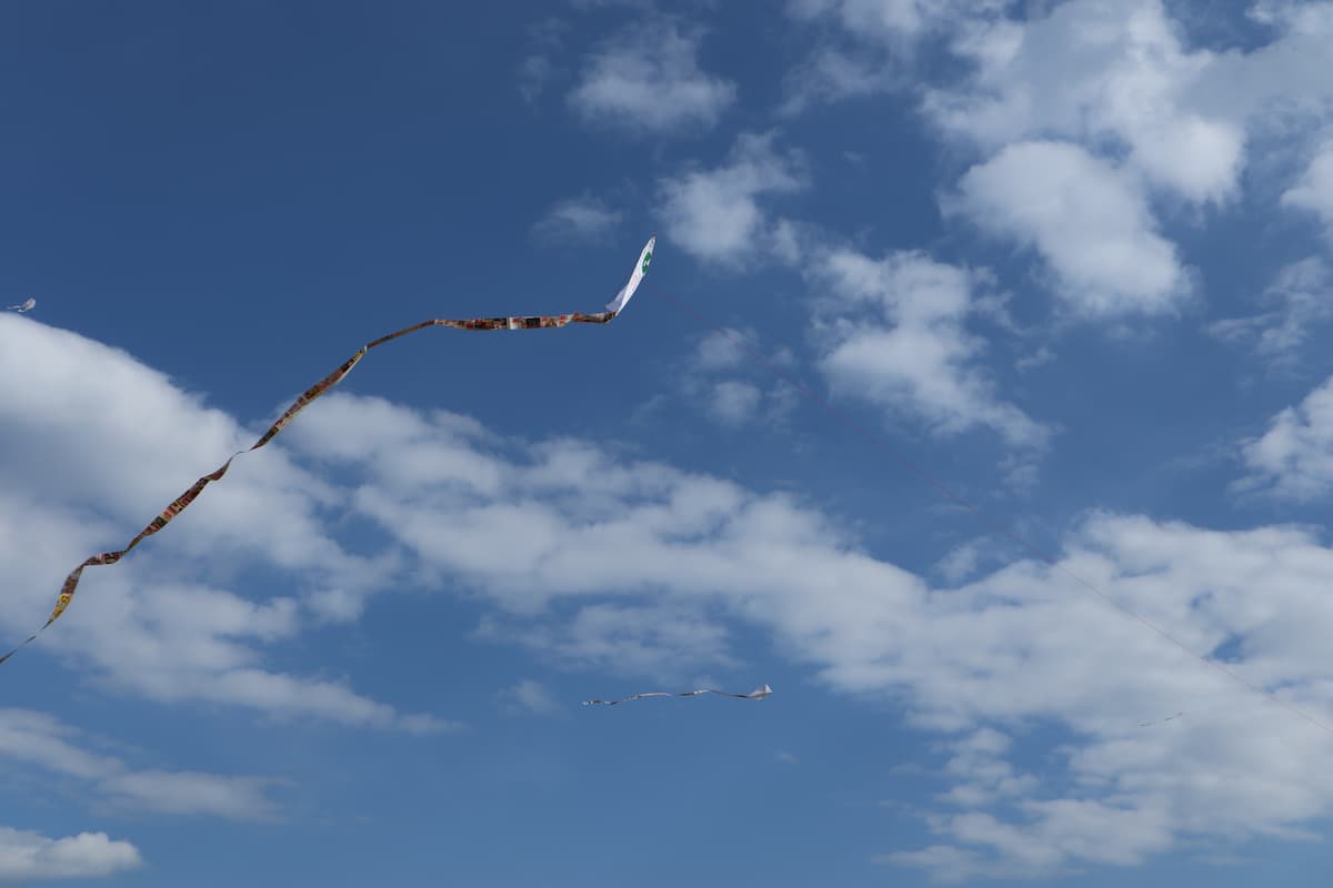 flying-kite